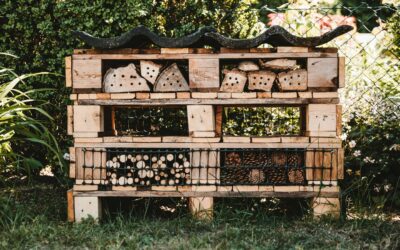 Stappenplan insectenhotel bouwen: een familieproject voor natuurliefhebbers!