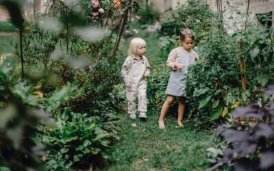 In 11 kleine stappen naar een duurzame tuin voor het hele gezin